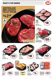 IGA catalogue week 11 Page 14