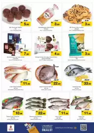 Nesto catalogue Page 7