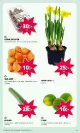 Tempo reklamblad vecka 11 Sida 2