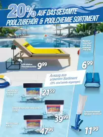 Zgonc Flugblatt Seite 10