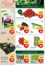 MPreis Flugblatt woche 11 Seite 2