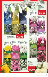 Catalog Kaufland săptămâna 11 Pagină 13