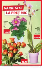 Catalog Kaufland săptămâna 11 Pagină 17