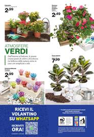 Volantino In'S Mercato Pagina 24