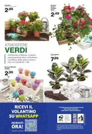 Volantino In'S Mercato Pagina 24