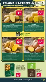 NETTO Prospekt woche 12 Seite 5