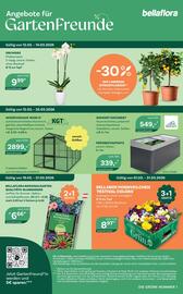 Bellaflora Flugblatt Seite 8