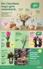 Bellaflora Flugblatt Seite 3