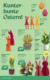 Bellaflora Flugblatt Seite 4