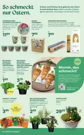 Bellaflora Flugblatt Seite 6