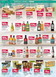 Terno leták Strana 10