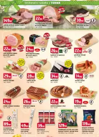 Terno leták Strana 2