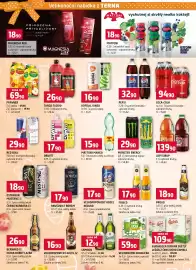 Terno leták Strana 8