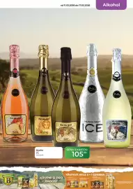 Tamda Foods leták týden 11 Strana 17