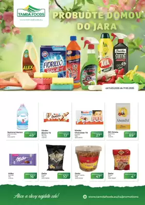 Tamda Foods leták (platné do 17-03)