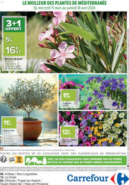 Catalogue Carrefour | Le meilleur des plantes page 8