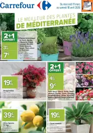 Catalogue Carrefour | Le meilleur des plantes page 1