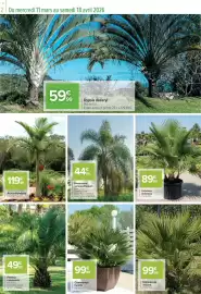 Catalogue Carrefour | Le meilleur des plantes page 2
