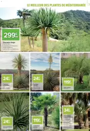 Catalogue Carrefour | Le meilleur des plantes page 3
