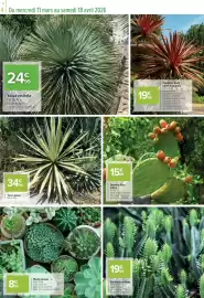 Catalogue Carrefour | Le meilleur des plantes page 4