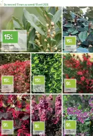 Catalogue Carrefour | Le meilleur des plantes page 6