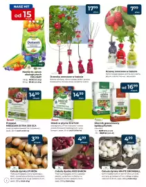 Mrówka gazetka Strona 2