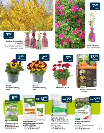 Mrówka gazetka Strona 3