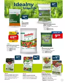 Mrówka gazetka Strona 3