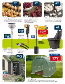 Mrówka gazetka Strona 4