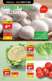 Biedronka gazetka tydzień 11 Strona 24