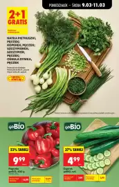 Biedronka gazetka tydzień 11 Strona 27