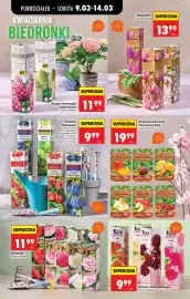 Biedronka gazetka tydzień 11 Strona 76