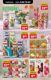 Biedronka gazetka tydzień 11 Strona 77