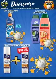 Volantino A Casa Mia Pagina 12