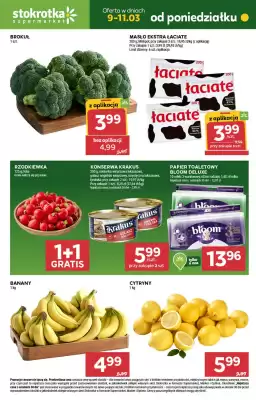 Stokrotka gazetka (ważność do 11-03)