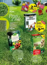 Volantino Ipercoop Pagina 24