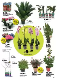 Volantino Ipercoop Pagina 31