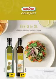 Eurogast Grissemann Flugblatt Seite 11