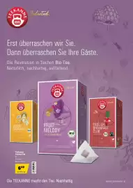 Eurogast Grissemann Flugblatt Seite 16