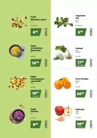 Eurogast Grissemann Flugblatt Seite 4