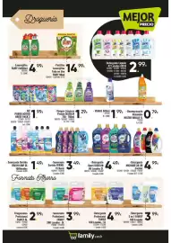Catálogo Family Cash Página 13
