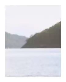 Catálogo Richards Página 2