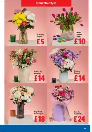 Lidl leaflet week 11 Page 17