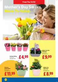 Lidl leaflet week 11 Page 18