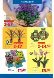 Lidl leaflet week 11 Page 19
