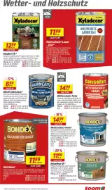Toom Baumarkt Prospekt woche 11 Seite 13