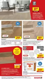 Toom Baumarkt Prospekt woche 11 Seite 19