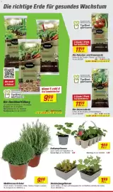 Toom Baumarkt Prospekt woche 11 Seite 2