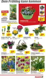 Toom Baumarkt Prospekt woche 11 Seite 5