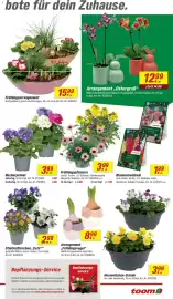 Toom Baumarkt Prospekt woche 11 Seite 7